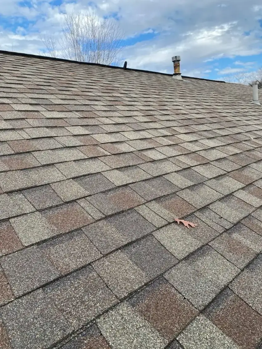 Durable multi-tone asphalt roofing shingles